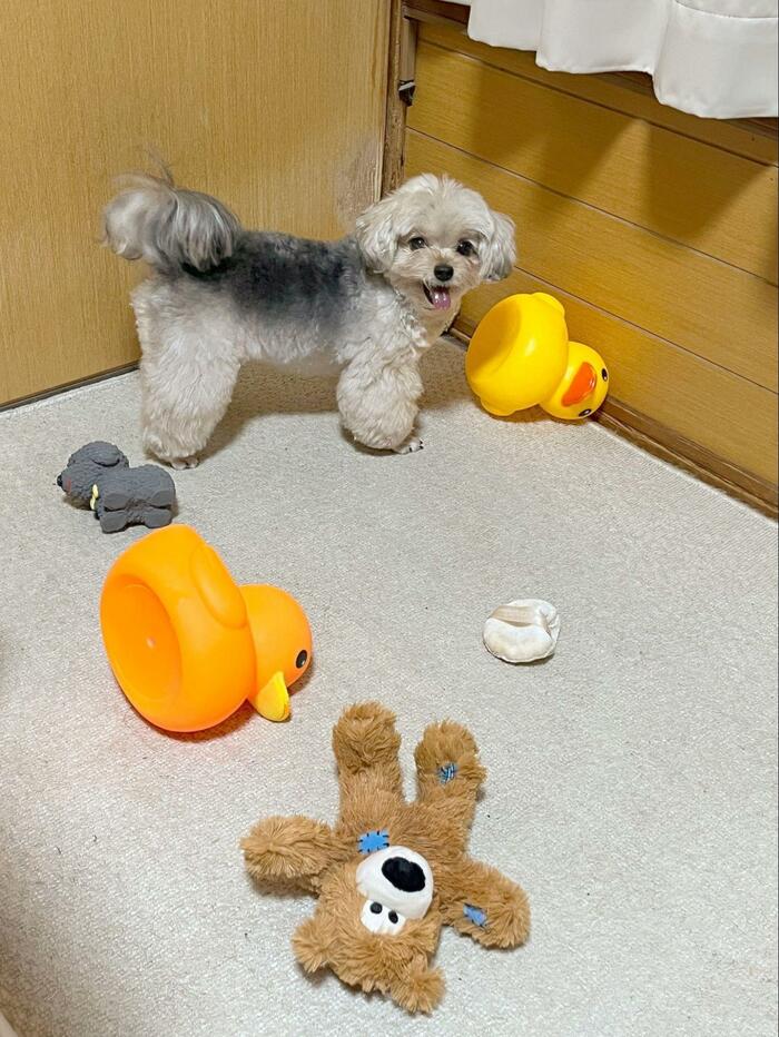 お気に入りのおもちゃの近くで、ニッコリ