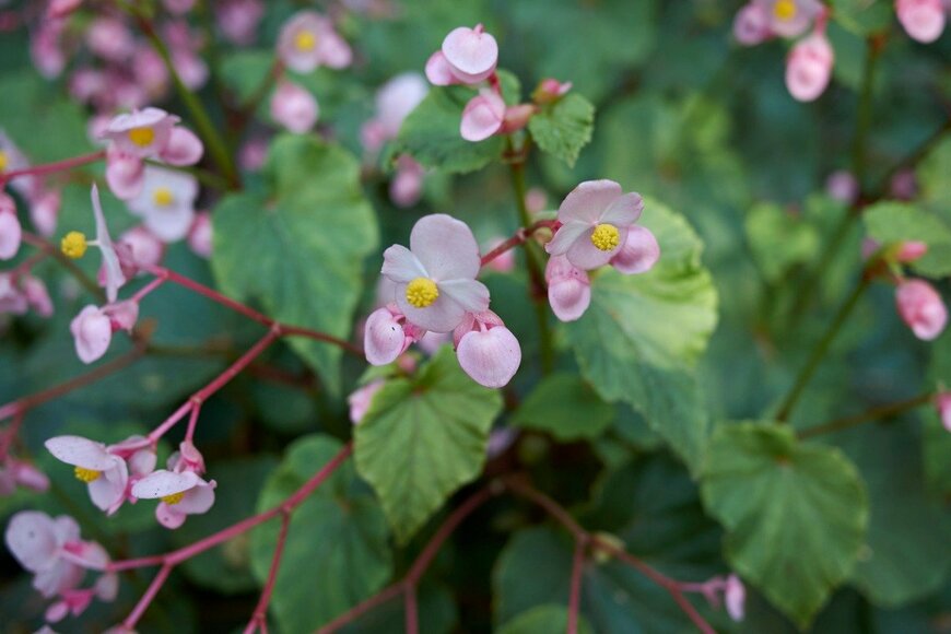 seven75/istockphoto.com