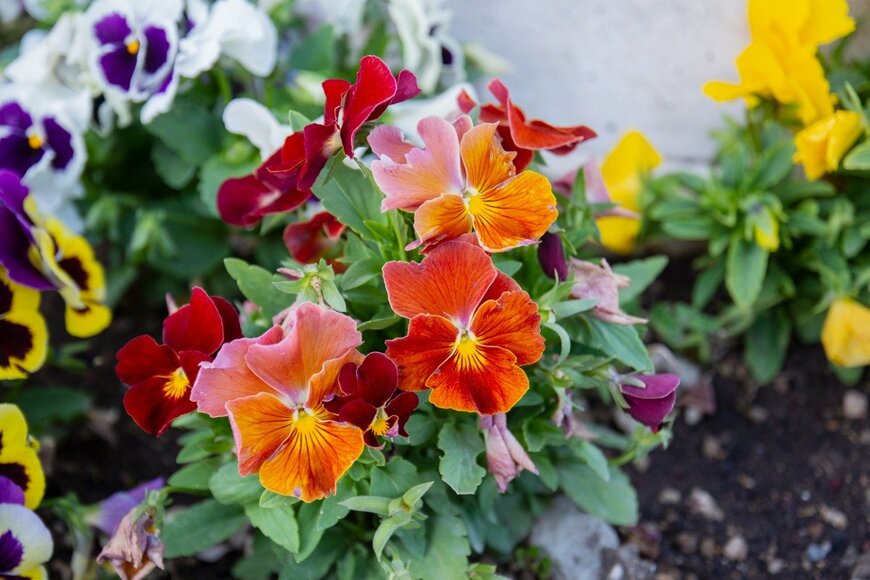 Yasin Caglayan/istockphoto.com