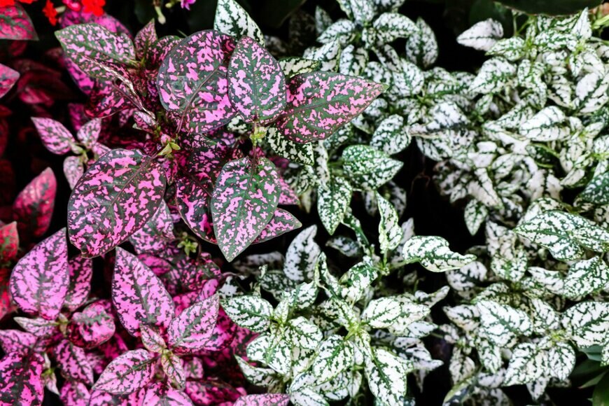 sri widyowati/istockphoto.com