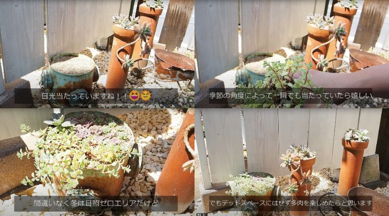 出所：@oliveandsucculentgarden