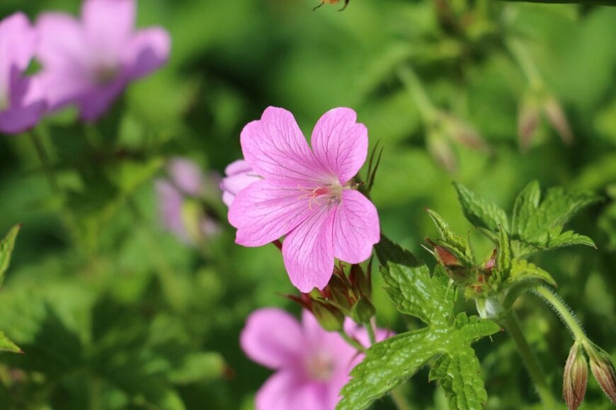 Jackie Tweddle/shutterstock