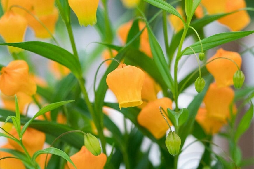 y-studio/istockphoto.com