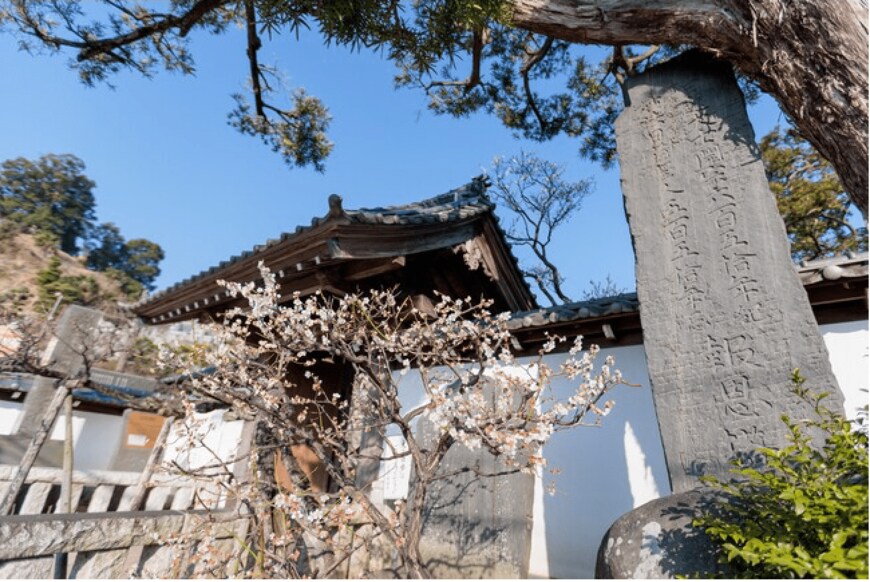 出所：合同会社 横浜旬・菜・果 幻の杉田梅林「賑い復興を願う「杉田梅まつり」の開催！」