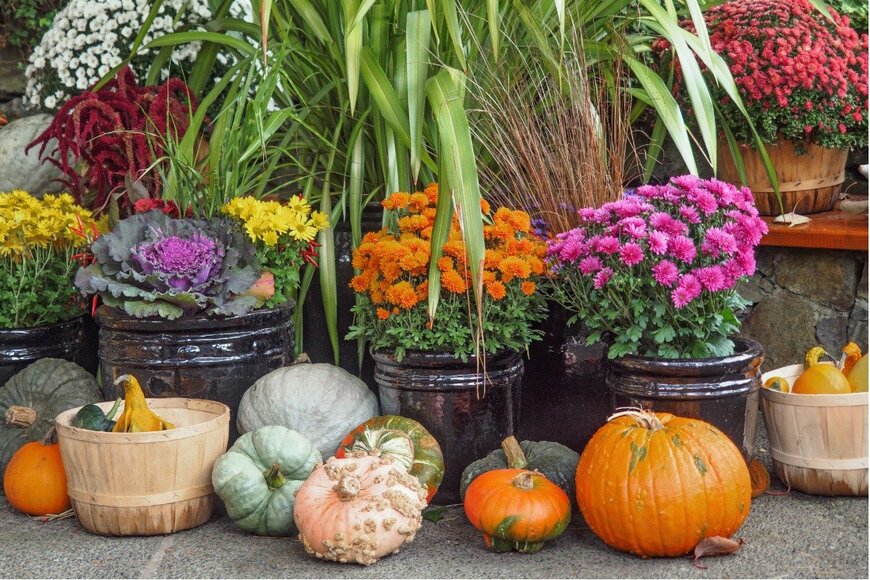 pr2is/istockphoto.com