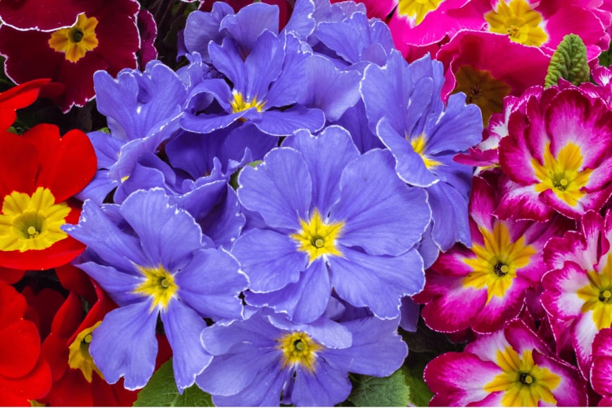 SimicVojislav/istockphoto.com