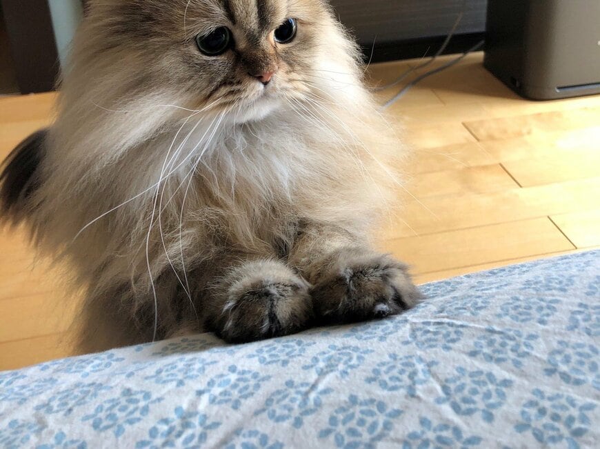 出所：@UphQepCv8J