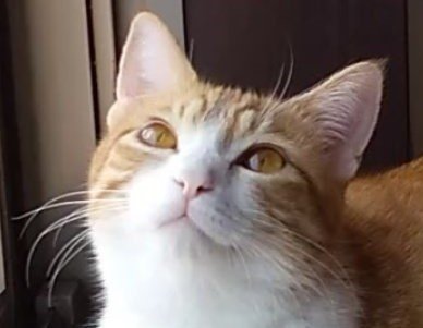 出所：@mero627puri914