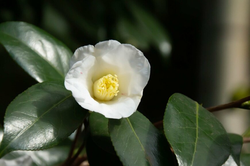 c11yg/istockphoto.com