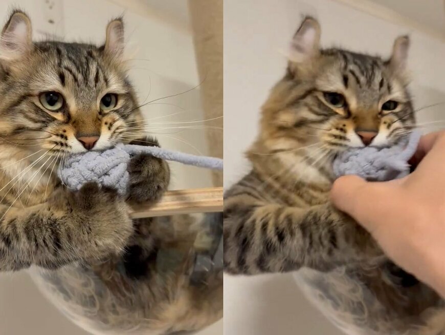 出所：@tomiyama_1012