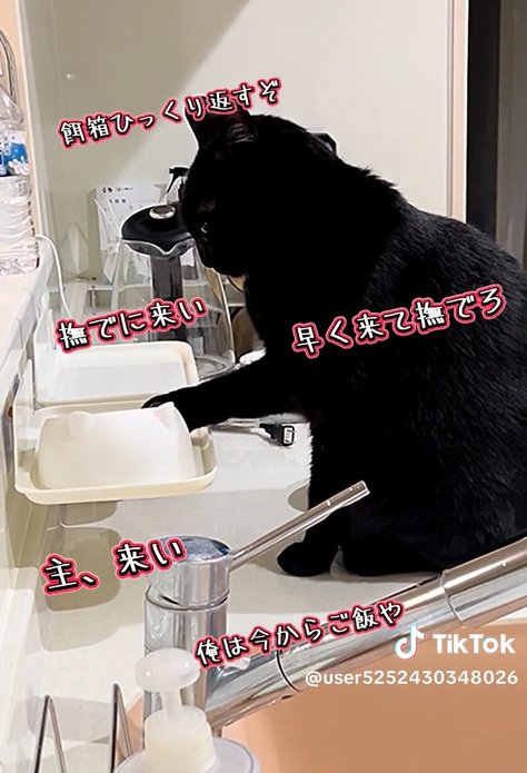 出所：@user5252430348026