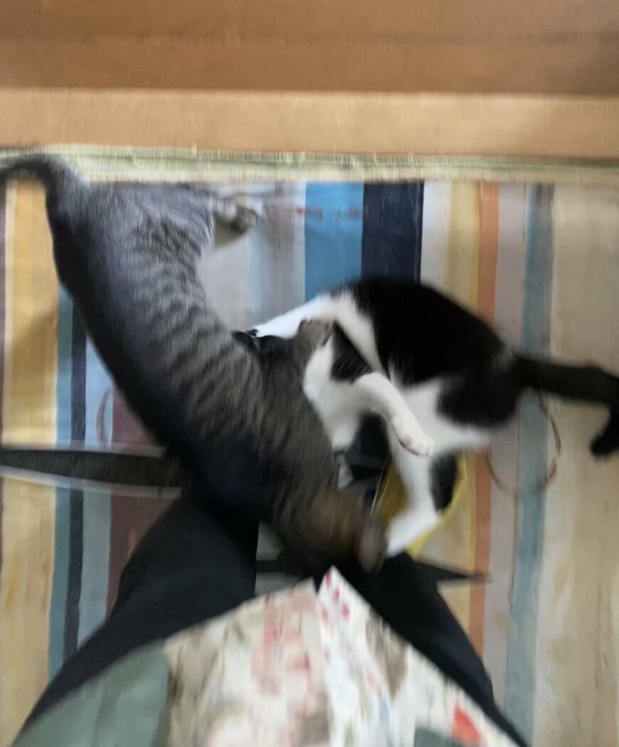 出所：@00shitemita