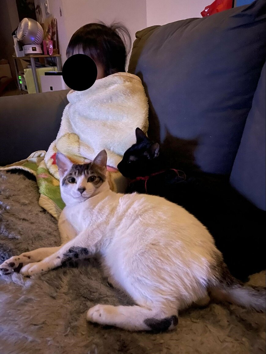 出所：@R453374510