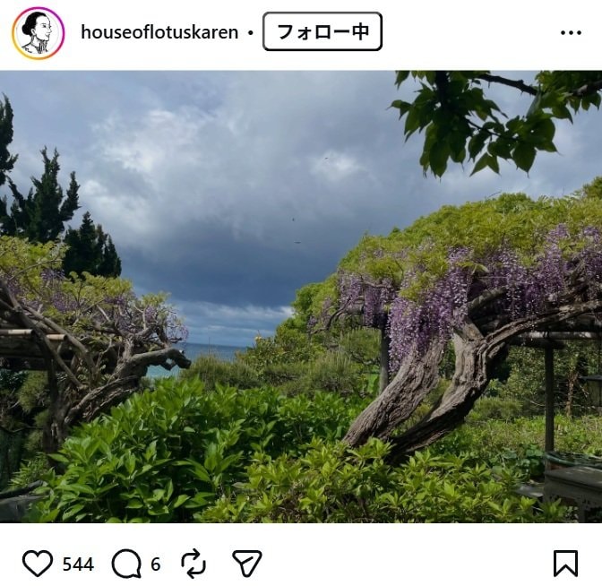 出所：桐島かれんのInstagram（＠houseoflotuskaren） 参照日：2026年4月21日
