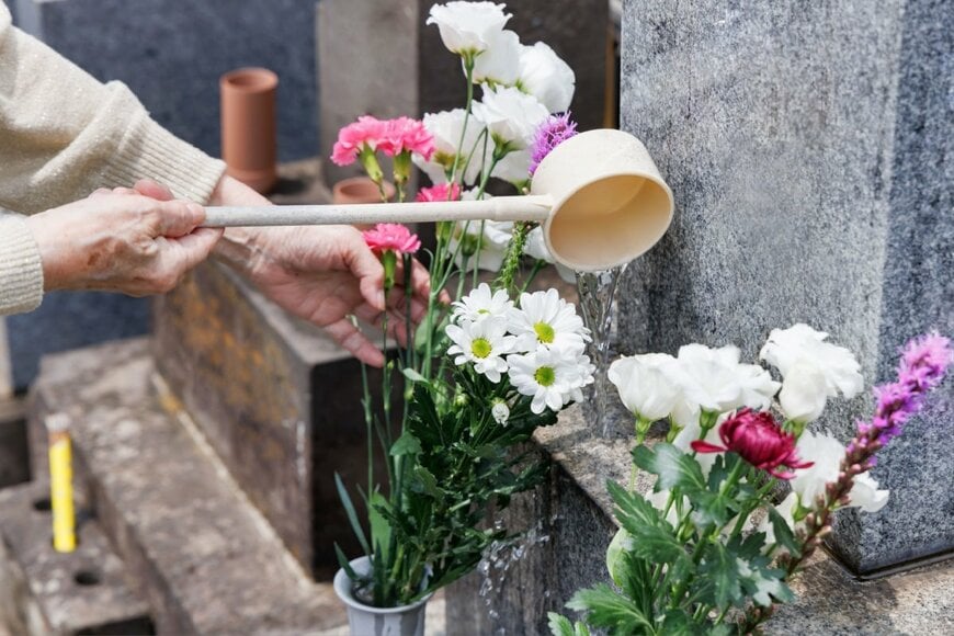 taka1022/shutterstock.com