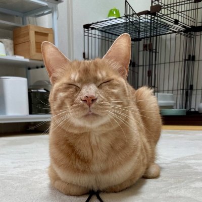 出所：@Teagle_Noir