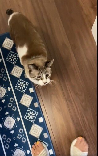 出所：@hidamari77777