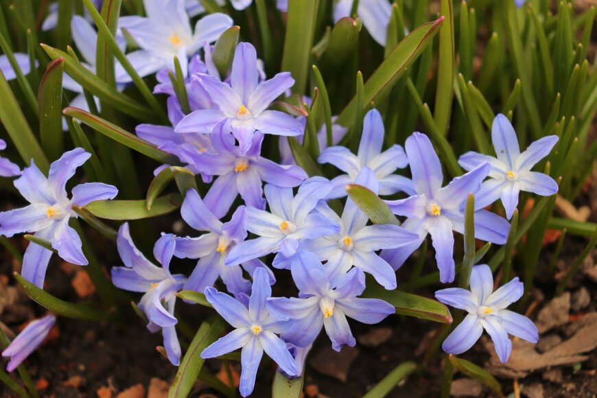 Galina Bolshakova 69/shutterstock.com