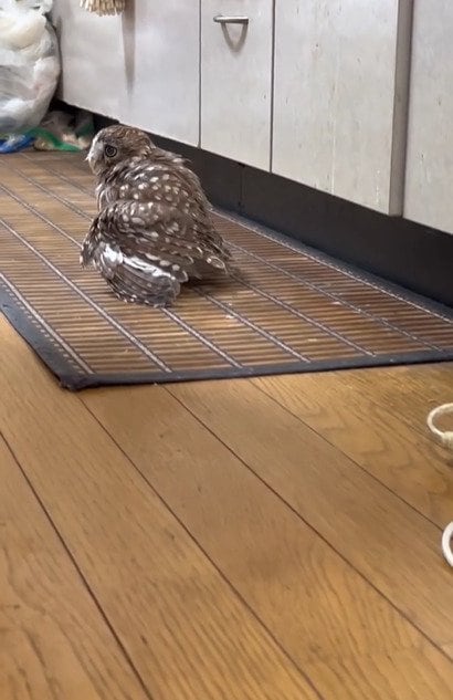 出所：@cr8673.hiro