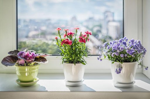 Triff/shutterstock.com