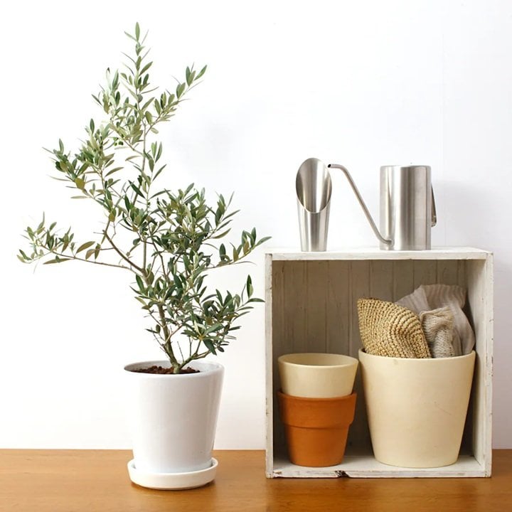 画像出所：無印良品公式オンラインストア