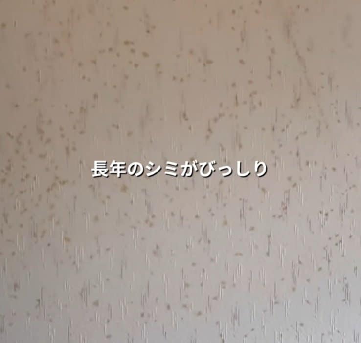 【築32年中古戸建DIY】シミがびっしりなトイレの壁が大変身！塗り替えでおしゃれにした主婦のセンスと技術に「すごーい！」と反響