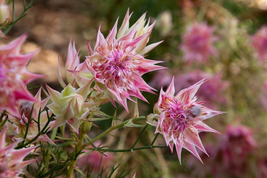 demamiel62/shutterstock.com