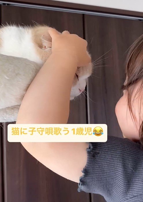 猫と1歳児