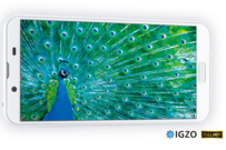 液晶を超えて進化するシャープの「IGZO」