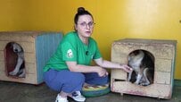 人におびえ続けた保護犬デクスター、根気強い訓練で見せた小さな一歩に心温まる声が寄せられる