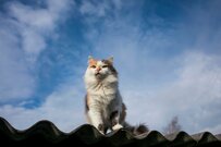 「住宅ローン破産を避ける3つの方法」元信金職員が解説