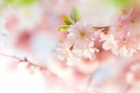 【年金一覧表】60歳～69歳「厚生年金・国民年金」平均月額はいくら？貯蓄は平均2000万円を超えるか