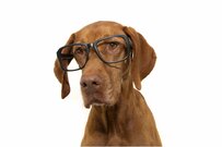 国民年金・厚生年金「みんないくら受給できているのか」