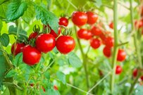 そこをケチるの？元証券会社員が見た「富裕層が節約する意外なポイント」とは