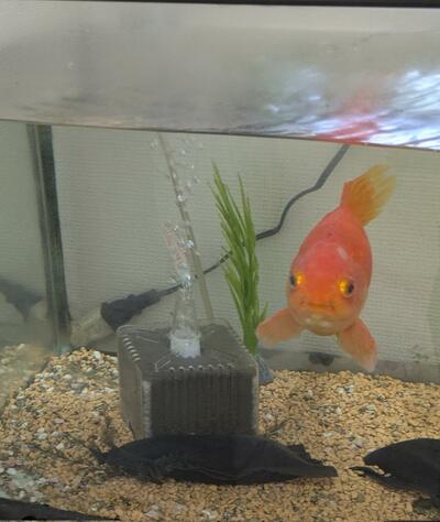 口元に注目！