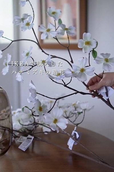 投稿の画像