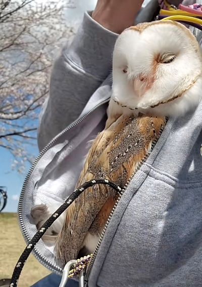 投稿動画のワンシーン