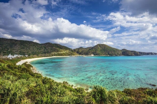 東京都と沖縄県、人工林面積が大きいのはどちら？　気になる正解率は59％だった