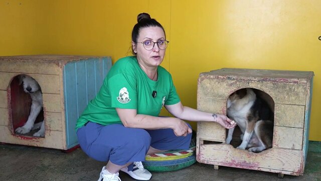人におびえ続けた保護犬デクスター、根気強い訓練で見せた小さな一歩に心温まる声が寄せられる