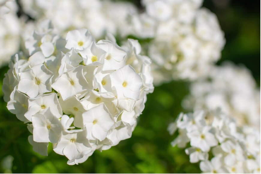 GrishaL/istockphoto.com