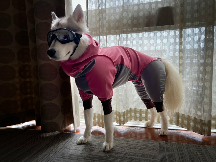 出所：@Live with husky