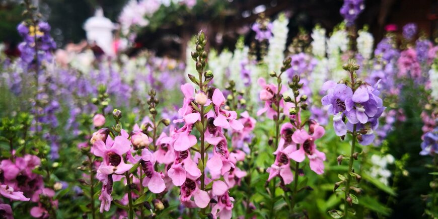 Omkoi/shutterstock.com