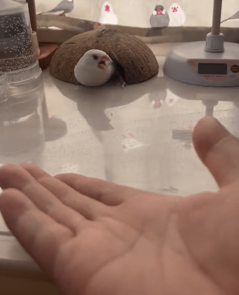 出所：@7nNxrg27PIUFCMS