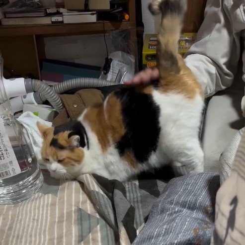 出所：@mike_noritama