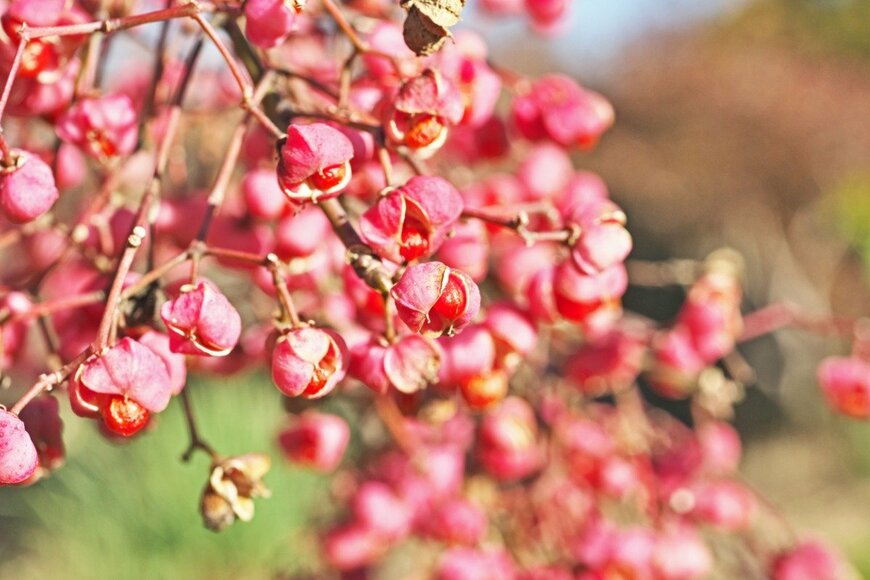 igaguri_1/istockphoto.com