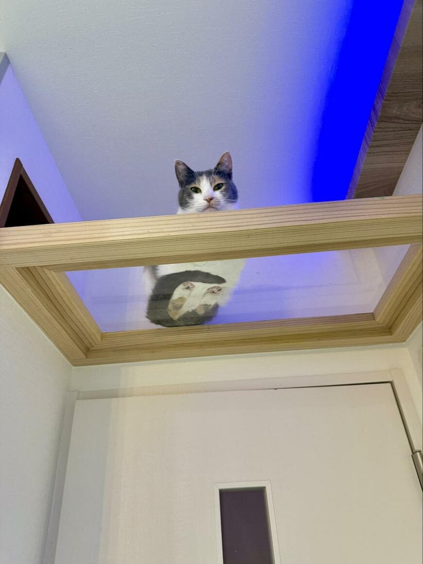 出所：@omochi_nam01