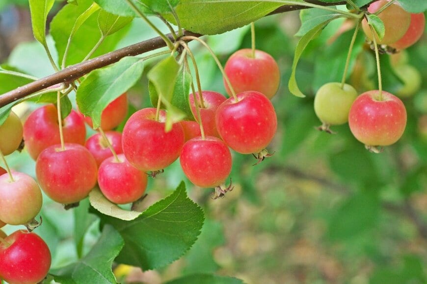 igaguri_1/istockphoto.com