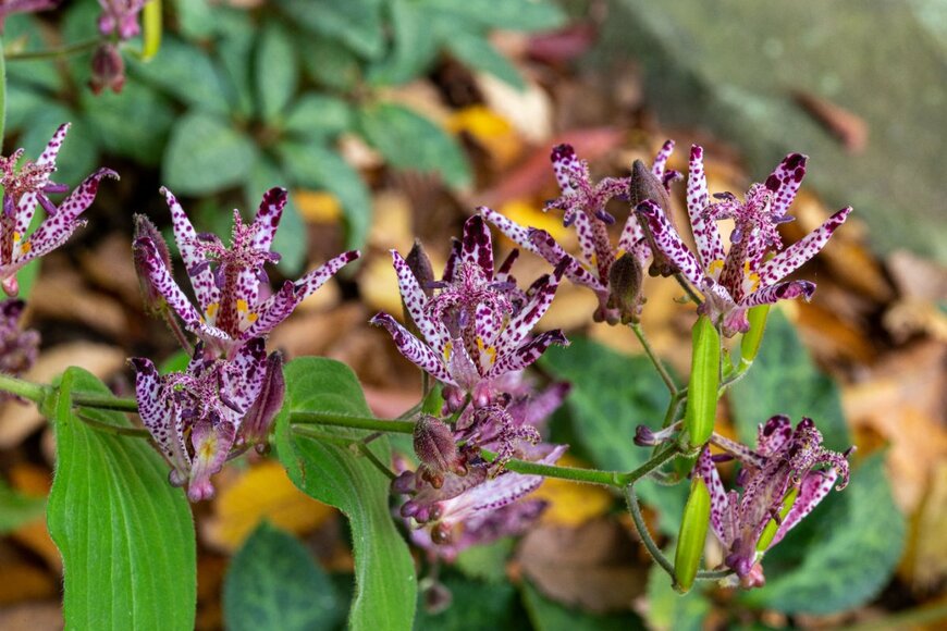 billysfam/shutterstock.com