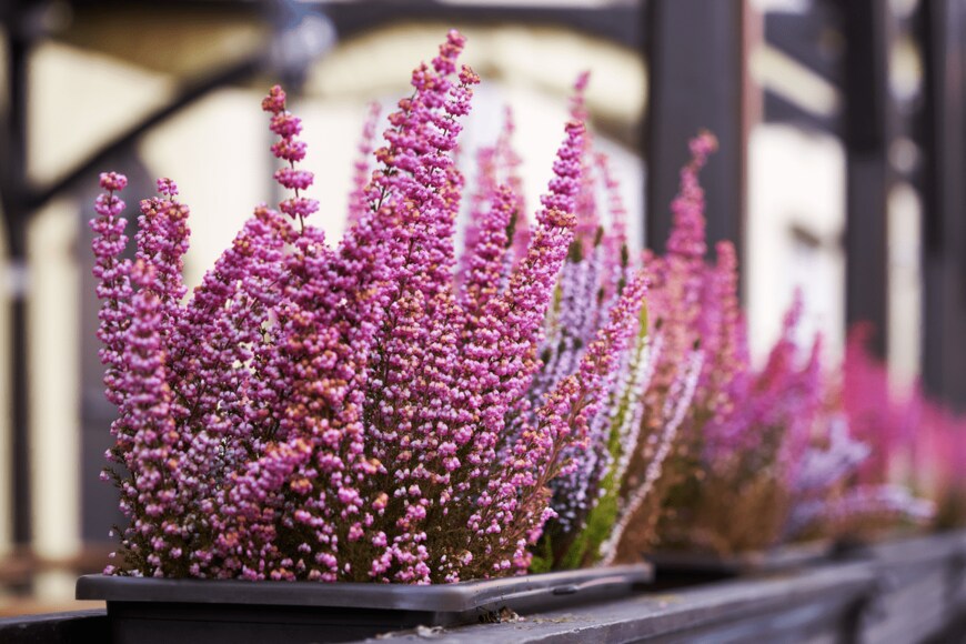 Madeleine Steinbach/shutterstock.com