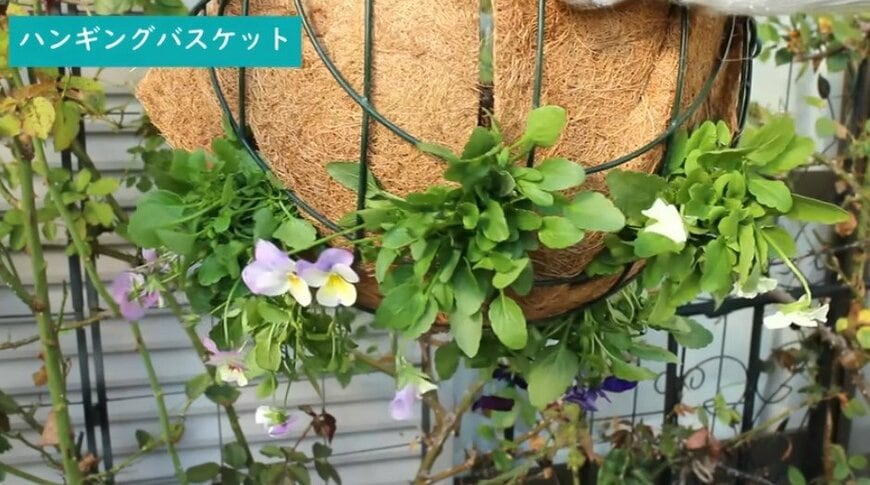 出所：@チェリーガーデン